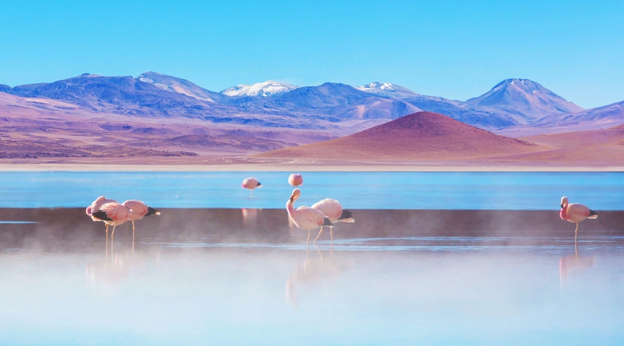 Crociere da sogno in Sud America