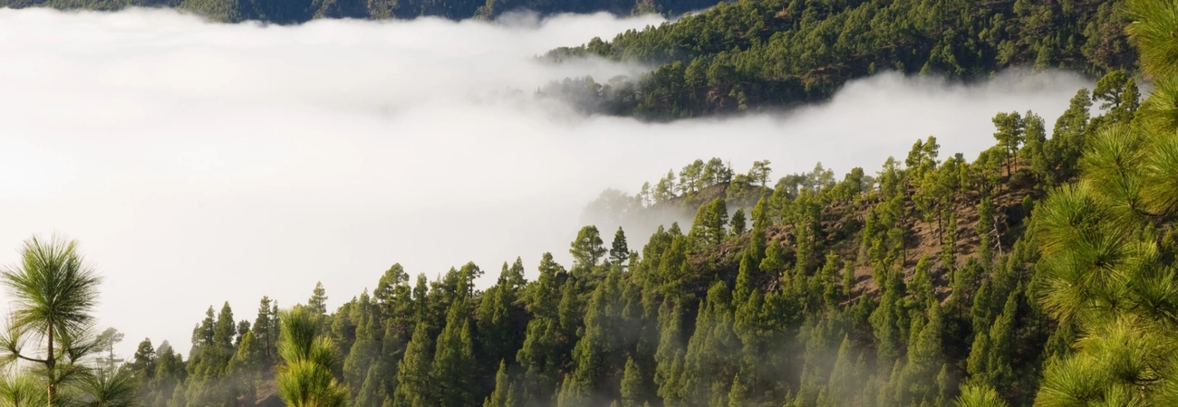 Crociere da Las Palmas Canarie con Buonacrociera